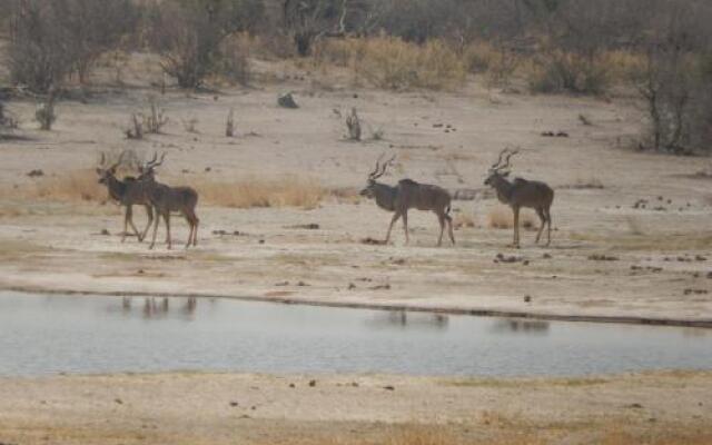 Thobolo's Bush Lodge