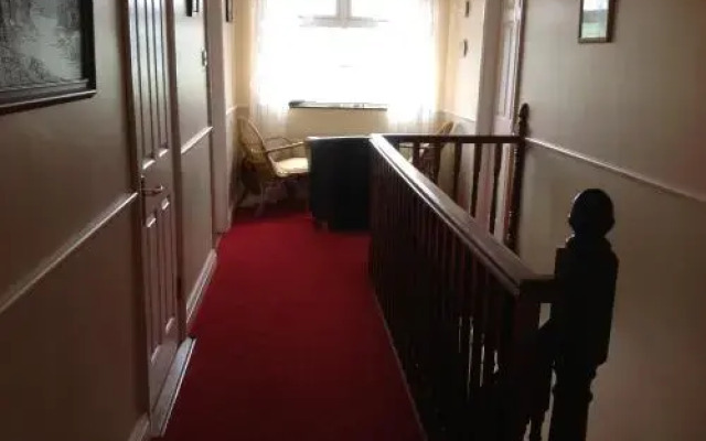 Brosnans' Dingle B&B