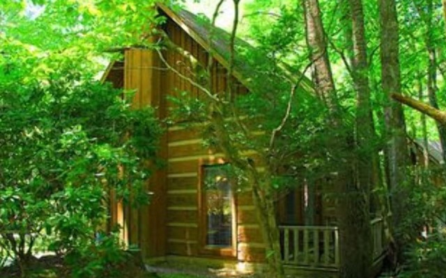 Creek Fever Creek Views