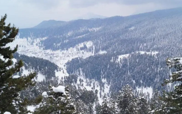 Pride Resort Gulmarg