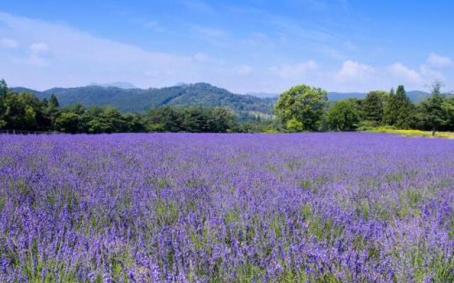 Menard Aoyama Resort: Wafukan Utatsukasa