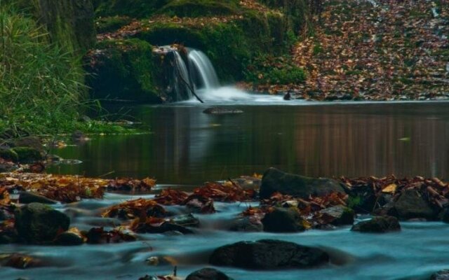 Fuhrmann´s Elb-Café