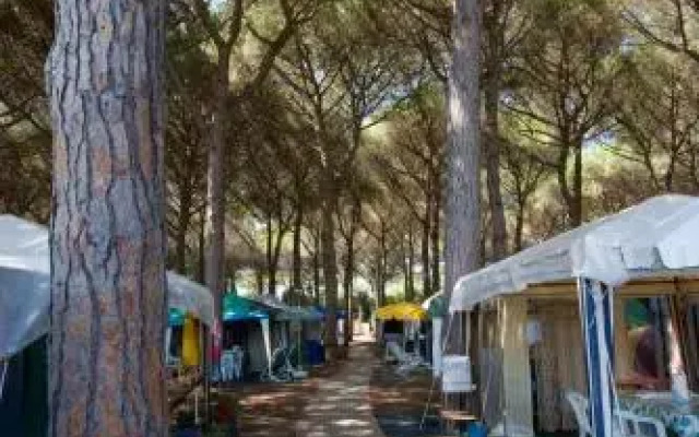 Camping Village Africa