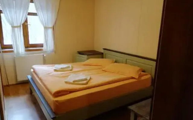 Pensiunea Vanatorul