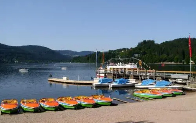 Fewo Feldbergblick