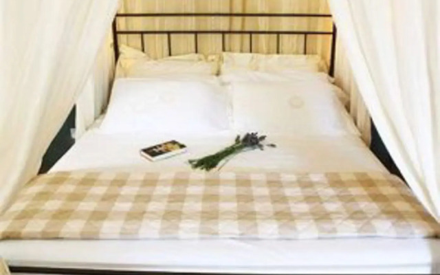 Le Radici Natura&Benessere