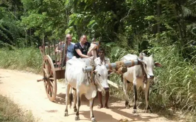 Ecolodge safari