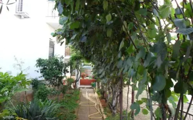 Apartments Franceschi
