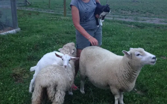 Penhaven Farm Stay