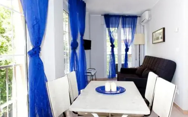 Apartamentos Coso 196