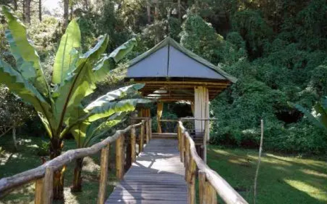 El Tular Santuario Natural