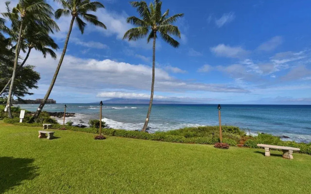 Polynesian Shores 111 by RedAwning
