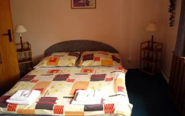 Hotel Český Dům