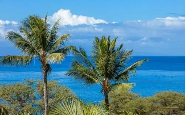 Maui Kamaole #G-210