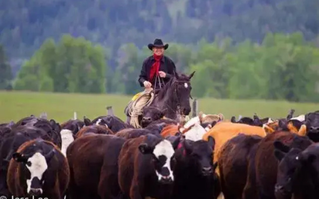Triple Creek Ranch, A Montana Hideaway
