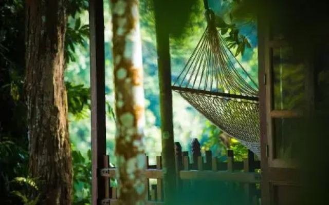 Shanthi Kunnj Homestay