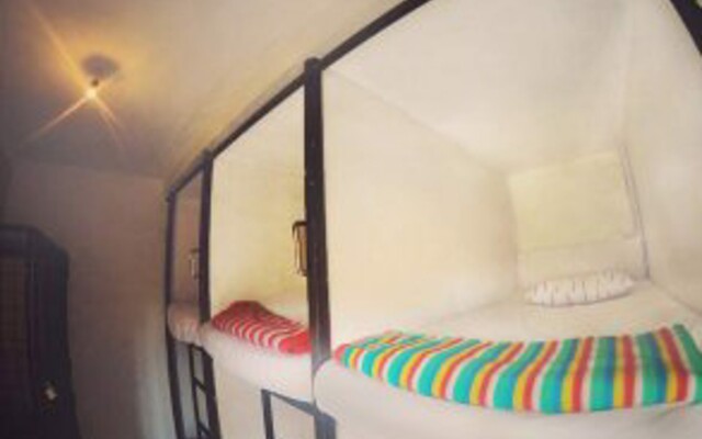 Coconut Ubud Hostel