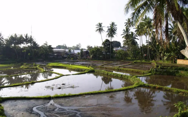 Emersia Hotel & Resort Batusangkar