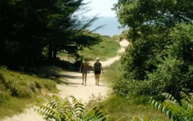 Camping la Forêt