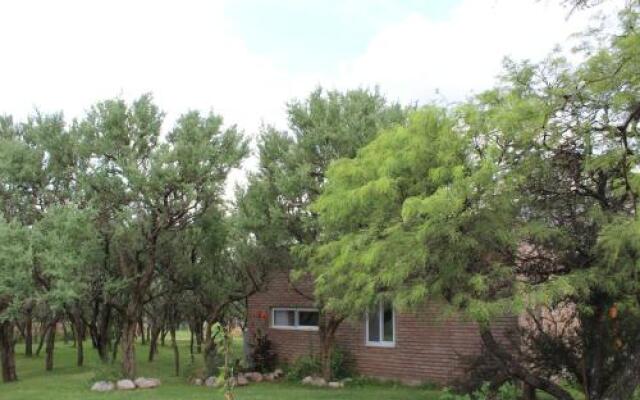 Cabaña Los Piquillines