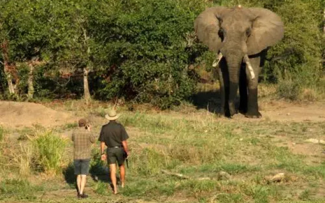 Tulela Safari Lodge