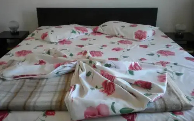 Hotel Milcov