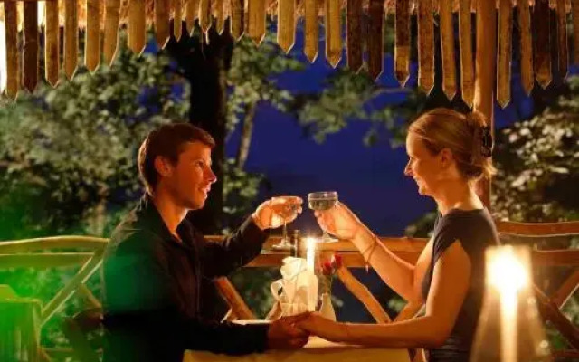 Vanya Tree House