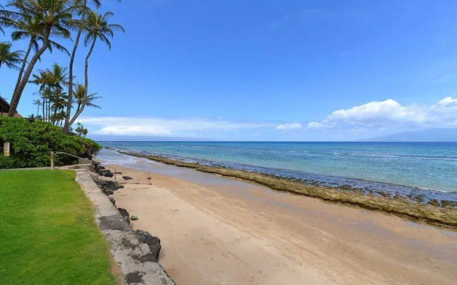 Paki Maui 414 by RedAwning