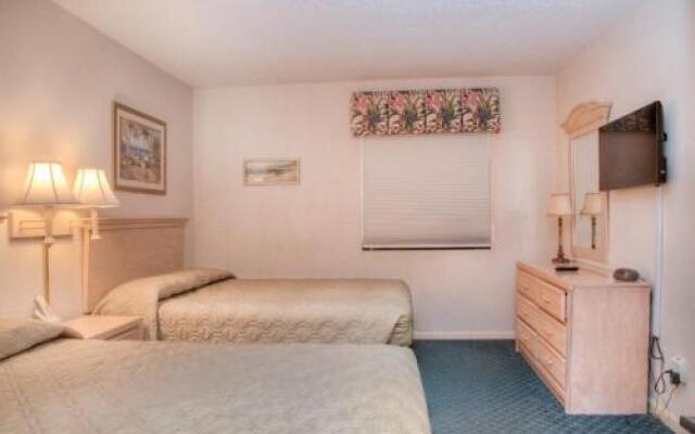 Ocean Forest 1811 - Ocean Front