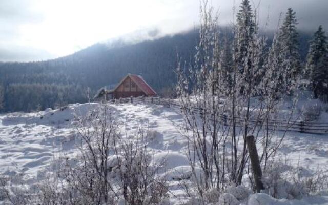 Bear Valley Highlands