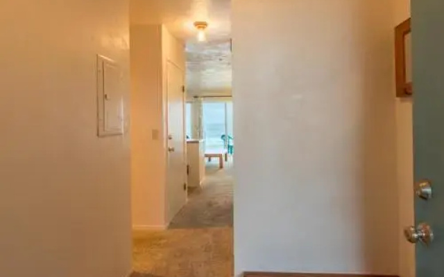 Nye Suite