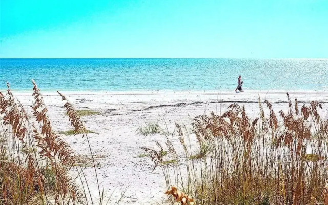 Miramar Beach House - Four Bedroom Home