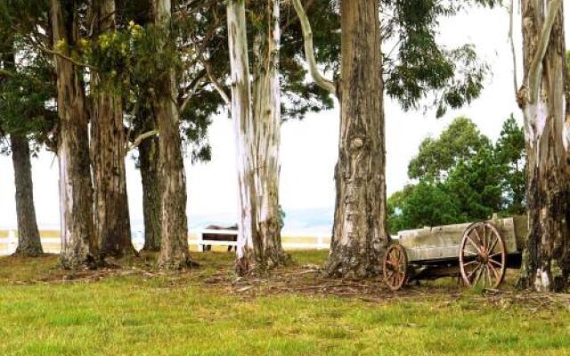 Pousada Fazenda a Casa do Morro
