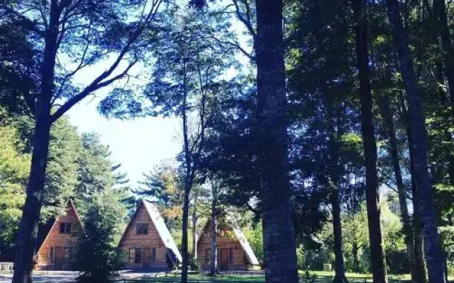 Cabañas Lautaro Pucon