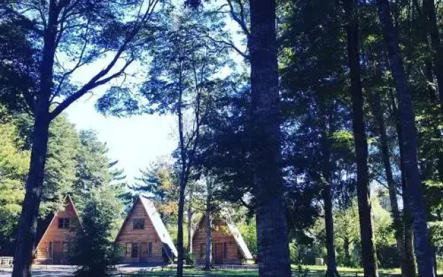 CABAñAS LAUTARO PUCON