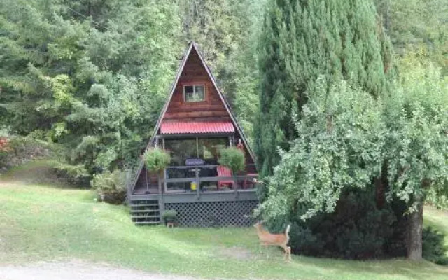 Sunny Bluffs Chalets