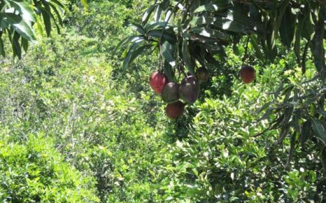 Casa Hostal El Tigre
