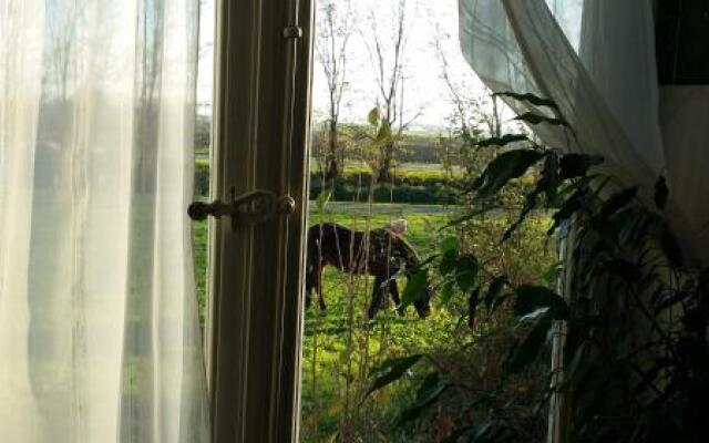 White Lady Bed and Breakfast