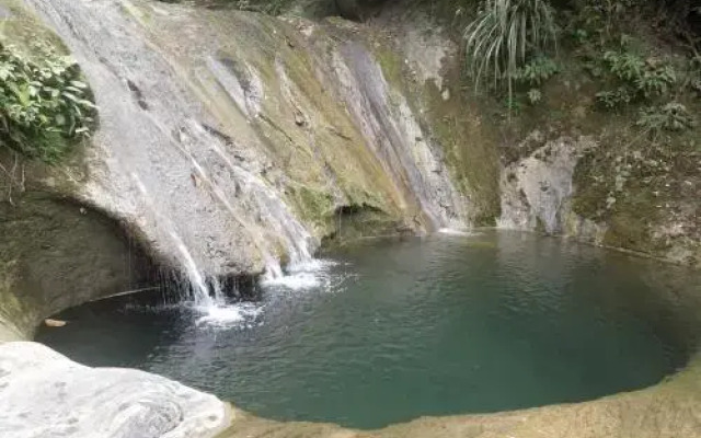 Hotel La Selva Agroecologica