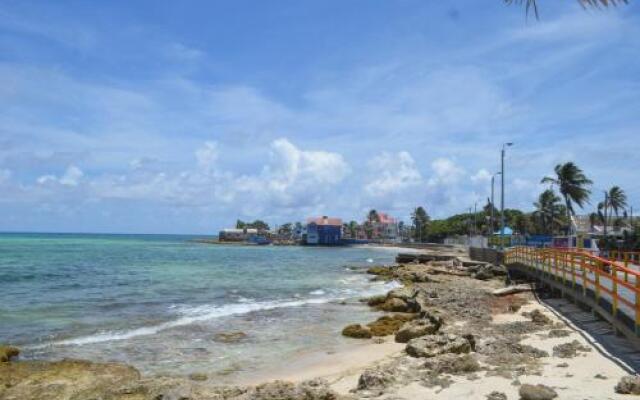 breeze view and culture