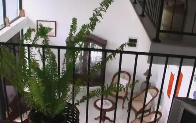 Eco Friendly Beautiful Suite