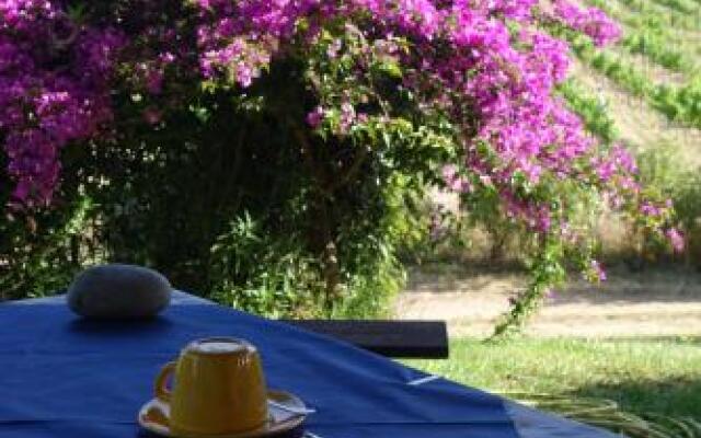 Agriturismo Campesi