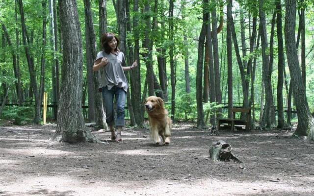 Izumigo Yatsugatake Dog Paradise Cottage