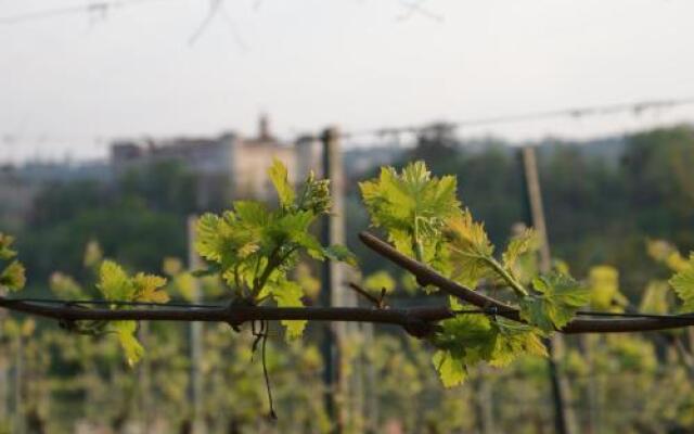 Azienda Agrituristica Costa dei Tigli