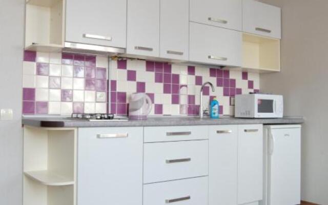 Furnished Apartments on Sovetskaya