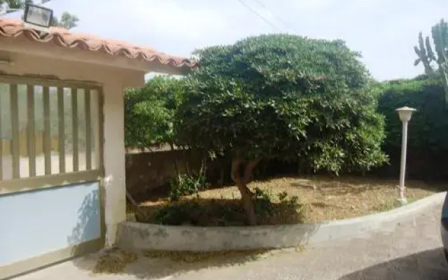 Stella Marina
