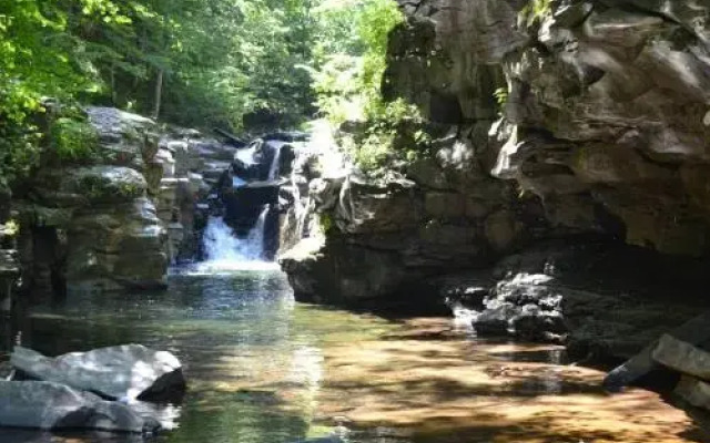 Tentrr - Purling Waters at Tumblin' Falls - Campsite