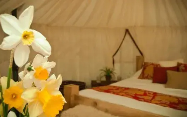 Plush Tents Glamping