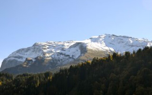 Apartment Sunnmatt 752