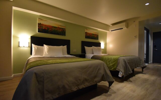Comfort Inn & Suites